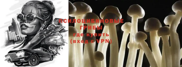 круглые Богданович