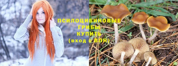 экстази Богородск