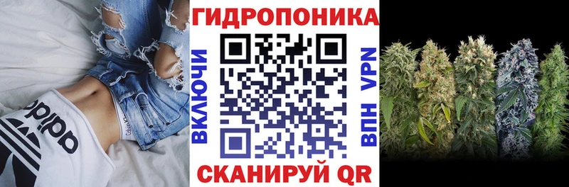 Бошки марихуана конопля купить закладку Горняк